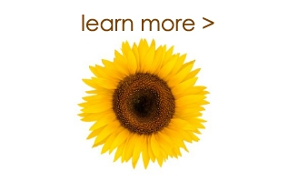 learn more about naming a company or business